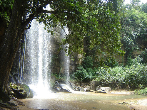Shimba Hills National Reserve